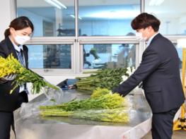 농림축산식품부, 4월 한달 수입 화훼류 특별검역기간 운영 기사 이미지